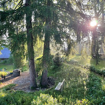 Liebevoll Eingerichtetes Ferienhaus Mit Grossem Garten クラウスタール・ツェラーフェルト エクステリア 写真