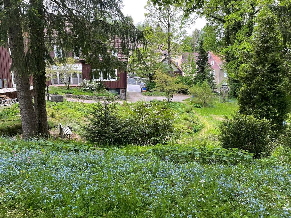 Liebevoll Eingerichtetes Ferienhaus Mit Grossem Garten クラウスタール・ツェラーフェルト エクステリア 写真
