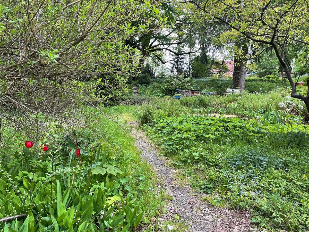 Liebevoll Eingerichtetes Ferienhaus Mit Grossem Garten クラウスタール・ツェラーフェルト エクステリア 写真
