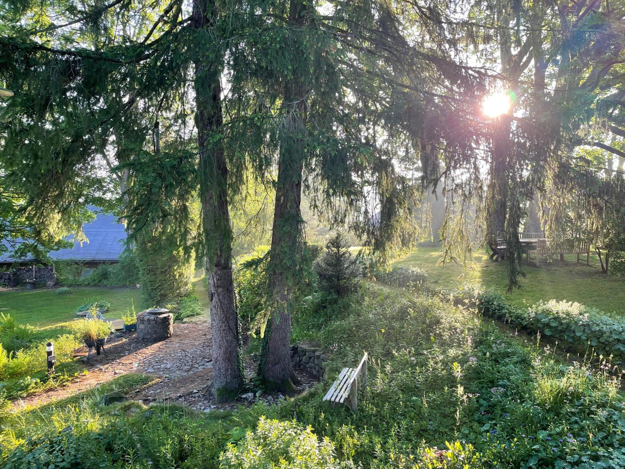 Liebevoll Eingerichtetes Ferienhaus Mit Grossem Garten クラウスタール・ツェラーフェルト エクステリア 写真